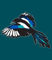 Scotch Whisky Auctions